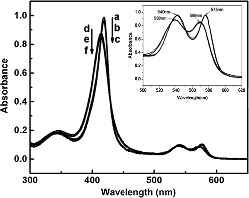 Figure 3. Spectrometric analysis of the Hb and HbCO samples. Analyses of P-mal-HbCO (a), P-sc-HbCO (b), HbCO (c), P-mal-Hb (d), P-sc-Hb (e) and Hb (f) were performed on a double-beam spectrophotometer.