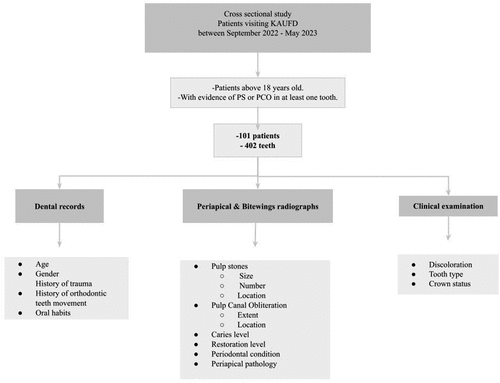 Figure 1. Schematic diagram of the research methodology.