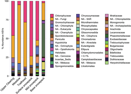 Figure 4. Relative abundance bar plot of family-level 18S rRNA gene community composition for snow samples from Mount Baker. 18S rRNA gene community composition across sample sites was similar, with Chlorophyceae and fungi identified as the dominant members. Base snowpack variation was due to the high abundance of Charophyta. Chloromonas was the most abundant genus of the Chlorophyceae family at each site. “NA” categories are ASVs that the DADA2 workflow using the SILVA database could not classify and were grouped together at the lowest taxonomic rank provided by our workflow. Table S1 provides top two BLAST hits for the top ten fungal ASVs classified here as “NA-fungi” for each sample site. Table S2 provides the top two BLAST hits for the top ten Chloromonas ASVs for each sample site.