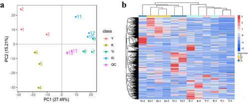 Figure 3. Principal component analysis (a) and hierarchical clustering analysis (b) of metabolites of different tobacco cultivar non-inoculation and inoculation. Yi and Y represent root extract from pathogen inoculation and non-inoculation of Yunyan87, respectively; Ki and K represent root extract from pathogen inoculation and non-inoculation of K326, respectively.