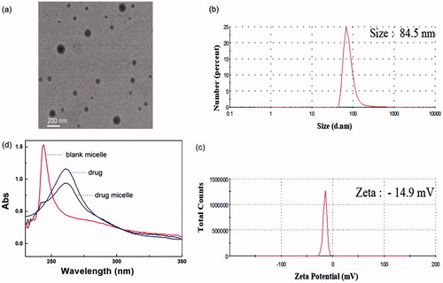 Figure 2. (a) TEM image of genistein/MPEG-b-PAE-g-HA micelles. (b) Particle size and (c) Zeta potential results of genistein/MPEG-b-PAE-g-HA micelle detected by dynamic light scattering. (d) Ultraviolet spectrophotometer of genistein (blue line), blank micelle (red line) and the drug-loaded micelle (black line).