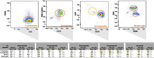 Figure 3. Purity of four cell populations after immunomagnetic cell separation. After immunomagnetic cell separation of T-lymphocytes, B-lymphocytes, NK-cells and granulocytes, these cells were examined using flow cytometry for the efficiency of the cell separation process. Typical density plots (0 h, 0 Gy, single donor) are presented for the cell populations as outlined in the images. The density plot represents a three dimensional scatter plot and shows quantities of cell counts using a color code (red = highest, blue = lowest quantities). The table below reflects the corresponding purity of each separated cell type (in percent) and treatment conditions.