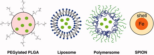 Figure 3. Types of nanomaterials used for inner ear drug delivery.