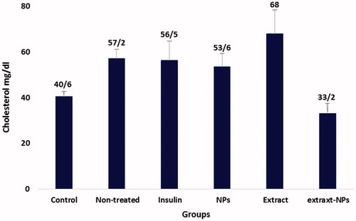 Figure 7. Cholesterol level in the studied groups during the experiments.