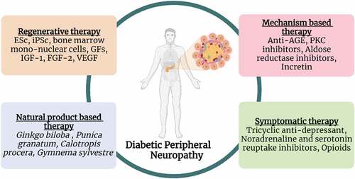 Figure 4. Treatment strategies for diabetic peripheral neuropathy.