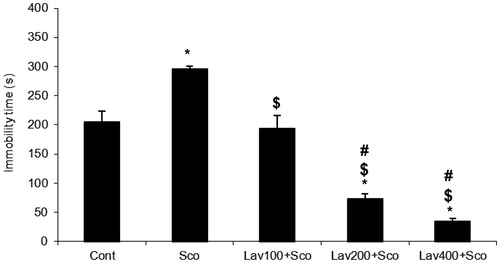 Figure 3. Effects of the scopolamine alone treatment and Lavandula officinalis extract pretreatment in different doses, on immobility time in forced swimming test. Values are means ± SEM (n = 10 animals per group), *p ≤ 0.001 in compared with the control group, $p ≤ 0.05 in compared with the scopolamine group and #p ≤ 0.05 in compared with 100 mg/kg lavender extract. Sco: scopolamine; Lav: L. officinalis. Effects of the scopolamine alone treatment and L. officinalis extract pretreatment in different doses, on immobility time in forced swimming test.