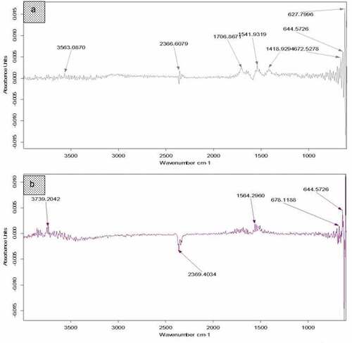 Figure 2. FTIR spectra of analysis of bread samples. (a) FTIR spectra for control bread treatment, (b) FTIR spectra for bread treatment enriched with OPP.