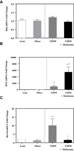 Figure 2 mRNA expression of three members of the Bcl-2 family that promote apoptosis in PBMC of lean, obese, T2DM, and T2DM on metformin: (A) Bak; (B) Bax; and (C) Bcl-10. Results are presented as mean ± S.E.M. *P < 0.05 vs lean subjects; σP < 0.05 vs obese subjects; δP < 0.05 vs T2DM subjects.