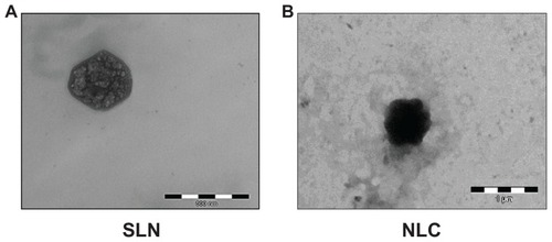 Figure 3 Transmission electron microscopy images of (A) resveratrol (RSV)-loaded solid lipid nanoparticles (SLN) (S4) (B) RSV-loaded nanostructured lipid carriers (NLC) (RN2).