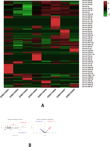 Figure 5 The bioinformatics analyses of the features of MiRNA in NAFLD using data of GSE114923. (A) The heatmap shows the expressions of top 455 DEGs (partially displayed) in serum samples of NAFLD versus normal; The deep red color represents the extent of high expressions of DEGs, whereas the green color represents the lower expressions of DEGs. The sample numbers from GSM3154851 to GSM3154854 on the left bottom of the heatmap indicate the NAFLD group, whereas the sample numbers on the right bottom from GSM3154855 to GSM3154850 indicate normal control group; The right side lists the official gene symbols of top 455 DEGs (partially displayed). (B) The MA plot (left) and a volcano plot (right) of expressions of DEGs; the define and cut-off of up- (red) or down- (blue) regulated genes are the absolute values of log2Fold change which exceed 2.