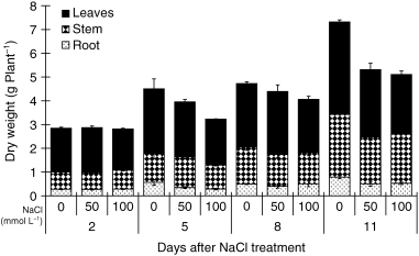 Figure 1  Effects of salinity (NaCl) treatment on the dry weight of tobacco plants. Values are means and standard errors of 3 replicates.
