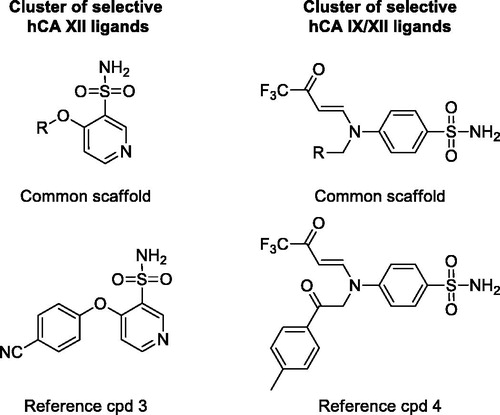 Figure 4. Representative clusters of selective hCA XII and double-selective hCA IX-XII ligands. The common scaffolds identified in these clusters are shown, together with a reference compound.