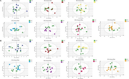 Figure 3. Principal component analysis (PCA) scores plots. Amino acid targeted metabolomics of the albumen on days 60 (A) and 120 (B) of the trial.Control group (CON), fed a basal diet; L group, basal diet supplemented with 0.50% Leonuri herba; LF group, basal diet supplemented with 0.25% Ligustri lucidi fructus; T group, basal diet supplemented with 0.25% Taraxaci herba; L-LF group, basal diet supplemented with 0.50% L + 0.25% LF; L-T group, basal diet supplemented with 0.50% L + 0.25% T; LF-T group, basal diet supplemented with 0.25% LF + 0.25% T; L-LF-T group, basal diet supplemented with 0.50% L + 0.25% LF + 0.25% T.