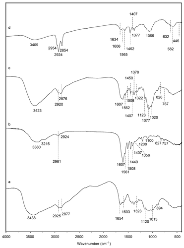 Figure 3.  FTIR spectra of chitosan (a), MTX (b), Chitosan–MTX (c), and magnetite chitosan–MTX microspheres (d).
