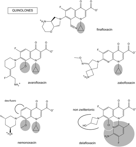 Figure 3. Chemical structure of new fluoroquinolones in clinical development. The substituents in position 1 and 8 known to confer high intrinsic activity are on a gray background. Other specific features are highlighted by black arcs.