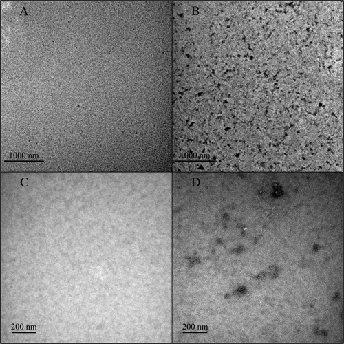Figure 7 Transmission electron microscopy images of trastuzumab solutions (1.28 mg/ml) in 0.9% NaCl; low magnification, (A); high magnification, (C) and in 5% dextrose, low magnification, (B); high magnification, (D) Aggregates were only present in 5% dextrose and appeared as black spots (B and D).