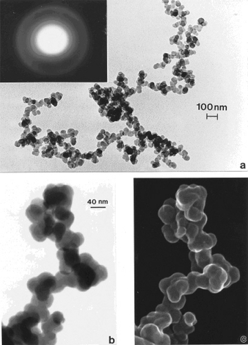 Figure 3 Examples of tire soot nanostructure. (a) TEM image and SAED pattern insert for a portion of a large fractal-like aggregate collected by thermal precipitation (CitationBang et al 2003) on a SiO/formvar-coated grid. (b) STEM image of an aggregate segment observed in the FESEM at 20 kV accelerating potential. (c) Corresponding SEM image of (b).