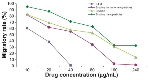 Figure 12 The migratory rate of the brucine immuno-nanoparticles on liver cancer cells. Compared with brucine and brucine nanoparticles, brucine immuno-nanoparticles had the strongest inhibitory effect on liver cancer cell migration.