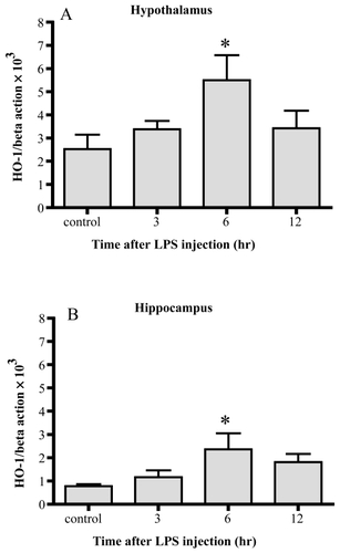 Figure 1 Changes in HO-1 mRNA. HO-1 mRNA increased 6 hrs after LPS injection significantly in both the hypothalamus (A) and hippocampus (B). Data represent the mean ±SE. (n = 4–6, *:p < 0.05).