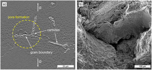 Figure 6. SEM image of (a) grain boundary damage by pore nucleation, growth, and coalescence at a specimen with 1.0% creep strain; (b) a teared grain boundary triple point and nucleated pores at a creep fracture surface [Citation16].