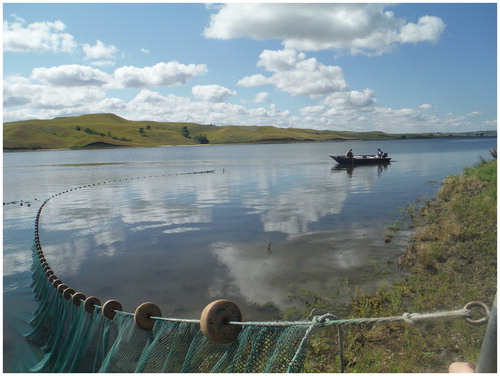 Image 1. Collection of age-0 walleye in Lake Sharpe, South Dakota (photographed here) was an important step in otolith chemistry research to assess walleye natal recruitment and habitat use. Image courtesy of William J. Radigan.