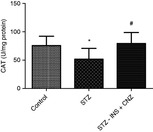 Figure 4.  CAT activity in liver from STZ-induced diabetic rats subjected to FST not treated (STZ) and treated with insulin plus CNZ (STZ − INS + CNZ) (n = 12–13) and controls (n = 12). Data represent mean ± S.D. *p < 0.05 compared to the control group; #p < 0.05 compared to the STZ group (ANOVA followed by the Duncan test).