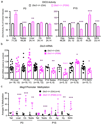 Figure 3. Dio3 expression and Meg3 and IG-DMR methylation in neonatal tissues of PGM mice.