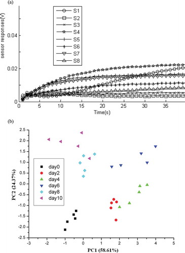Figure 6. Artificial olfactory system measurement (a); original responses to samples (b); PCA results to strawberry under different storage times.