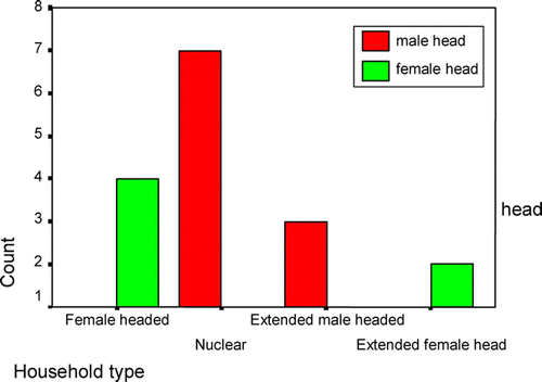 Figure 4: Household types in Ezilweleni