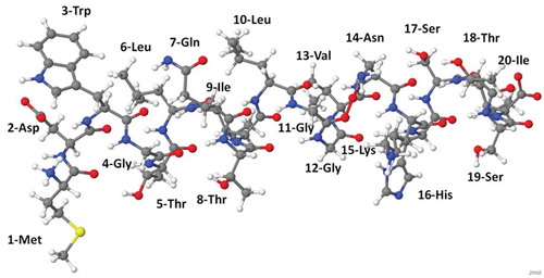 Figure 3. Atomic-scale representation of N-terminal of connexin Cx26, consisting of 20 amino acids. Its amino acid sequence is MDWGTLQTILGGVNKHSTSI.