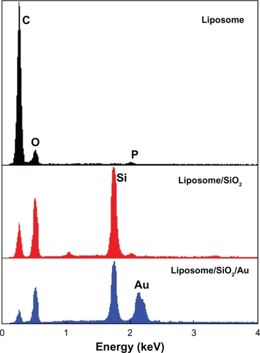 Figure 4 Energy dispersive X-ray spectroscopy spectra of the liposome, liposome/SiO2 and liposome/SiO2/Au.