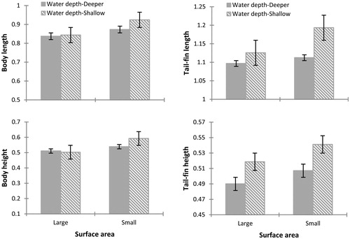 Figure 3 Differences observed at 30 days after the start of the experiment in the morphological variables of Physalaemus albonotatus tadpoles exposed to different water depths and surface areas. The values are means (± SE). The body length and body height are increased significantly for tadpoles raised in containers with small surface area compared to one with large surface area. No significant difference was observed in the interaction of both factors.
