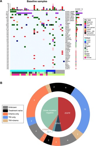 Figure 1 Baseline somatic gene aberrances identified by NGS.