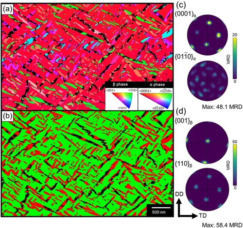 Figure 10. TKD maps of the fully developed ‘as-deposited’ α precipitate microstructure: (a) inverse pole figure crystal orientations, (b) phase distributions (red = α phase and green = β phase), and (c) and (d) pole figures for the α and β phase. Black pixels are unindexed points.