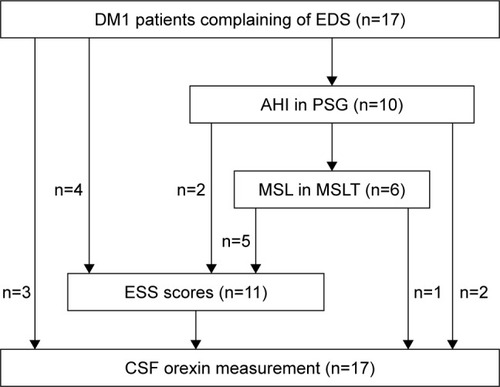 Figure 1 Flow diagram of enrollment, evaluation, and measurement performed on DM1 patients.
