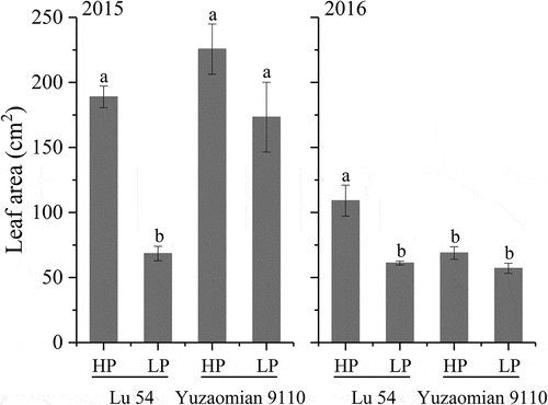 Figure 4. Leaf area of Lu 54 and Yuzaomian 9110 under 0.01 mM (LP) and 1 mM KH2PO4 (HP) levels at the seedling stage in 2015 and 2016. The different letters from each year are significantly different at P = 0.05. Each value denotes the mean of three replications.