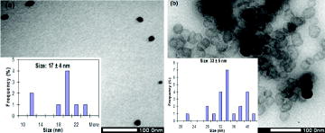 Figure 2. TEM images of producing CuNPs at 110 °C (a) and 130 °C (b).