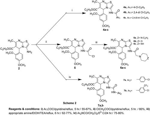 Scheme 2. The synthetic approach for the three sets of amide derivatives 4a–c, 5, 6a–c and 7a,b.