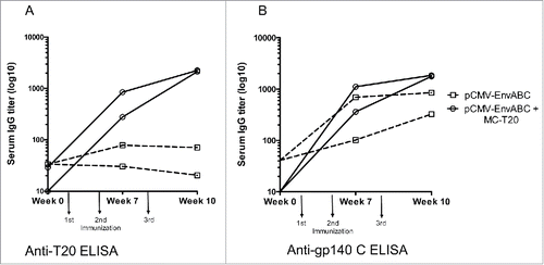 Figure 3. A-B. Anti-gp140 (C) and anti-T20 antibody titers following immunizations with pCMV-EnvABC with and without MC-T20. Five mice in each group were immunized with pCMV-EnvABC (20 µg) with MC-T20 (20 µg); or pCMV-EnvABC (20 µg) with pCMV-DNA (20 µg). Sera were taken and antibodies against gp140 C and T20 peptide measured by ELISA. (See also Table S1, Group II.)