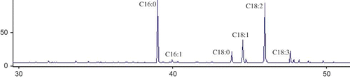 Figure 4 GC/MS chromatogram obtained for seed oils from Eugenia uniflora. (Color figure available online.)
