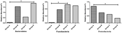 Figure 2. Effects of palygorskite and probiotics complex (Pal–Pro) on faecal flora at phylum level of Xuefeng black-bone chicken. (1) group A: 0 mg/kg Pal–Pro; group B: 250 mg/kg Pal–Pro; group C: 500 mg/kg Pal–Pro; group D: 750 mg/kg Pal–Pro. (2) *p < .05.