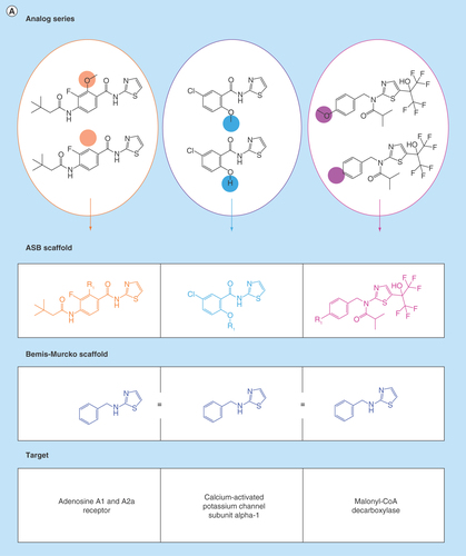 Figure 2.  Analog series-based scaffolds of exemplary analogs series.(A) Analog series-based (ASB) scaffolds from three different analog pairs (smallest possible series) are shown and color-coded according to substitution sites in analogs. Targets of each analog pair are provided. All six compounds share the same Bemis–Murcko scaffold (blue) but each pair yields a different ASB scaffold. (B) For an exemplary analog series containing 10 c-Jun N-terminal kinase 1 inhibitors, the corresponding ASB scaffold (purple) and all Bemis–Murcko scaffolds of the analogs (blue) are shown. In this case, the analog series yields five distinct Bemis–Murcko scaffolds.