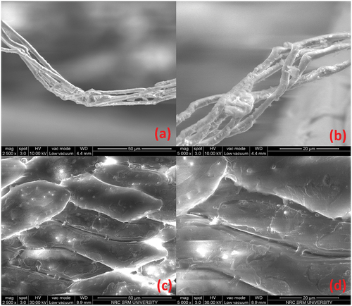 Figure 4. Surface texture of banana fiber (a & b) and coconut shell filler (c & d).