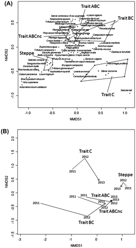 Figure 3. Analyse de la composition et des abondances des espèces végétales de chaque traitement et de la steppe de référence par une ordination NMDS basée sur 45 échantillons de végétation au printemps 2013. Le graphique A montre les échantillons de 2012 regroupés par traitement à l’aide de polygones: traitement C (Trait C, blanc), traitement BC (Trait BC, gris clair), traitement ABCnc (ABCnc, gris foncé), traitement ABC (Trait ABC, gris) et la steppe de référence (Steppe de référence, gris très foncé). Pour plus de clarté, seules les espèces végétales les mieux corrélées sont inscrites littéralement Le graphique B montre la dynamique de la végétation pour chaque modalité, selon la position de leur barycentre. Les lignes pointillées représentent la succession de la végétation de 2011 à 2012 et les flèches représentent la succession de la végétation de 2012 à 2013.Figure 3. Composition and abundances analyses of plant species in each treatment and in the reference steppe with a NMDS ordination based on 45 vegetation samples. The A plot shows only the 2013 samples grouped by treatment with polygons: treatment C (Trait C, blanc), treatment BC (Trait BC, gris clair), treatment ABCnc (ABCnc, gris foncé), treatment ABC (Trait ABC, gris) and the reference steppe (Steppe de référence, gris très foncé). To clarify, only the most correlated plant species, at two first axes, are literally inscribed. The B plot shows the vegetation dynamic for each treatment, according the position of their barycenter during the tree years of the vegetation survey.