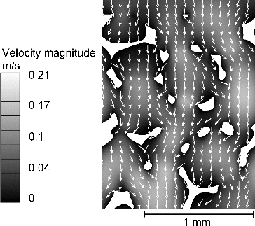 FIG. 8. Flow velocities computed for a generated model of the nickel foam (white) with a face velocity 0.055 m/s.