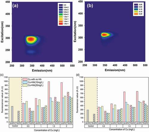 Figure 4. The EEM contours of tryptophan-like component (C1) (a) and tyrosine-like component (C2) (b) and their variations in fluorescent scores in response to different Cu and HA concentrations