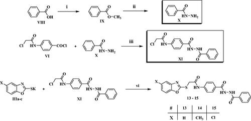 Scheme 2. Synthesis of the compounds 13–15; Reagents/conditions: (i) CH3OH/conc. H2SO4/reflux 2 h, (ii) NH2-NH2/C2H5OH/reflux 4 h, (iii) acetonitrile/TEA/r.t. 8 h, (vi) DMF/KI/60 °C/6h.
