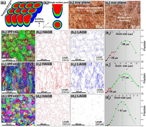 Figure 1. (a1) The printing strategy for the selective laser melting process and (a2) typical molten pool morphology. The metallographic morphologies of (a3) xoy plane and (a4) xoz plane; EBSD results of the SLMed 316L SS on xoy plane: (b1) IPF + IQ, (b2) HAGB, (b3) LAGB and (b4) grain size, respectively; EBSD results of the SLMed 316L SS on xoz plane: (c1) IPF + IQ, (c2) HAGB, (c3) LAGB and (c4) grain size, respectively; EBSD results of the commercial 316L SS: (d1) IPF + IQ, (d2) HAGB, (d3) LAGB and (d4) grain size, respectively.