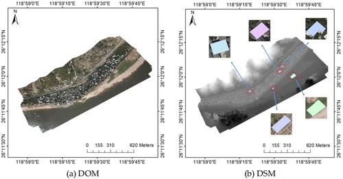 Figure 8. The DOM and DSM for precision analysis.