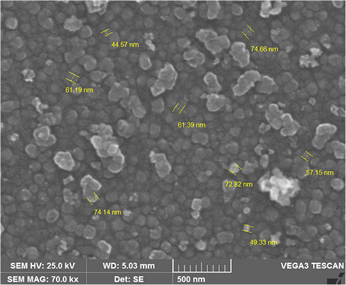 Figure 1. Scanning electron microscopy (SEM) images depicting cerium aluminate nanoparticles synthesized through the solution combustion method.